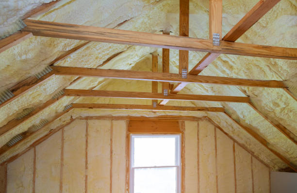 Best Commercial Insulation in Nisswa, MN