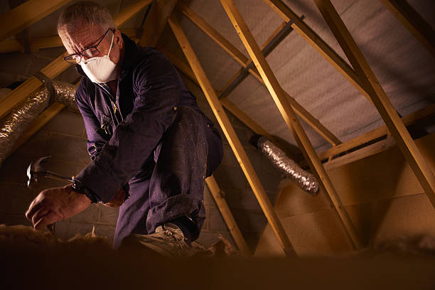 Best Commercial Insulation in Nisswa, MN